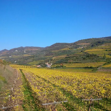 Casa Felix Πανσιόν Illasi