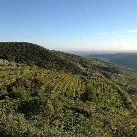 Πανσιόν Casa Felix