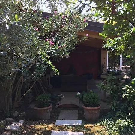 Casa Felix Πανσιόν Illasi